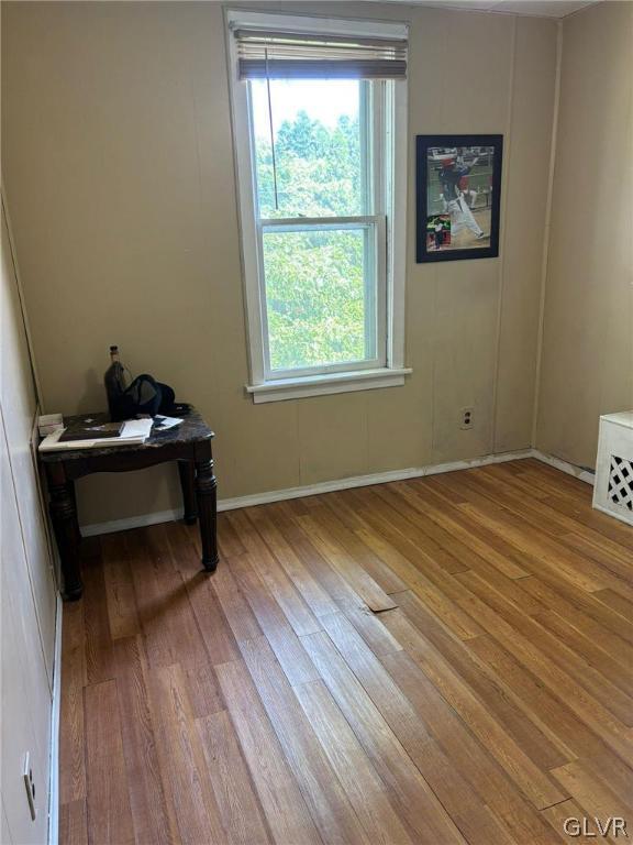 empty room featuring plenty of natural light and light hardwood / wood-style flooring