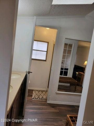 bathroom with vanity and wood-type flooring