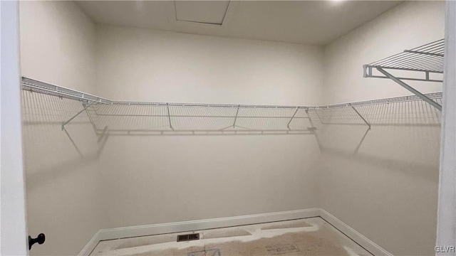 view of walk in closet