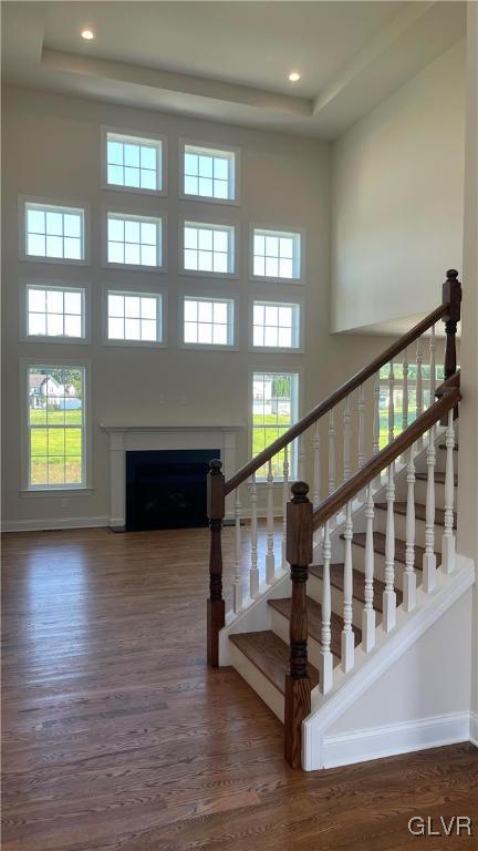 stairs featuring a high ceiling, a raised ceiling, and wood-type flooring