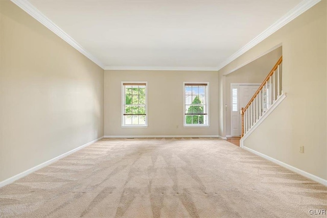 unfurnished room with ornamental molding and carpet flooring