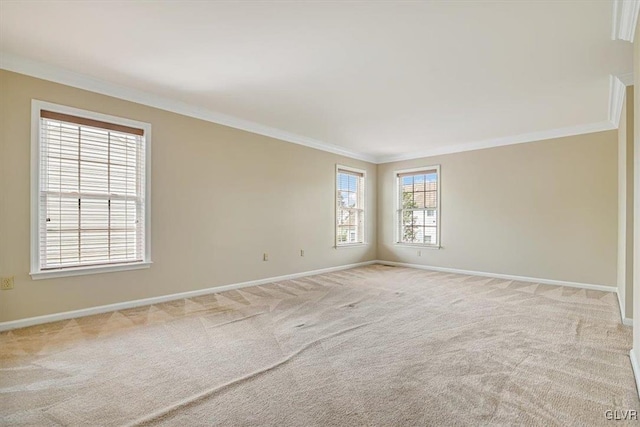 empty room with carpet and ornamental molding