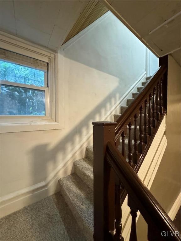 stairs featuring carpet flooring