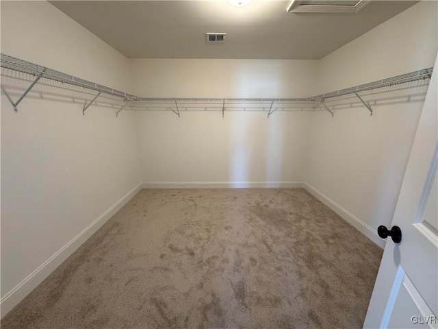 walk in closet featuring carpet flooring