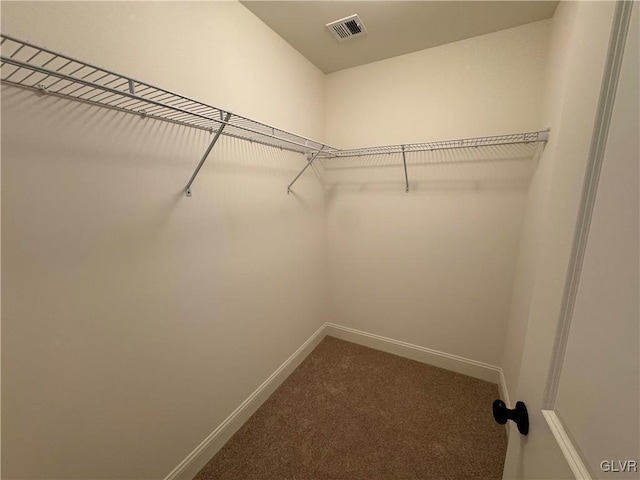 walk in closet featuring carpet