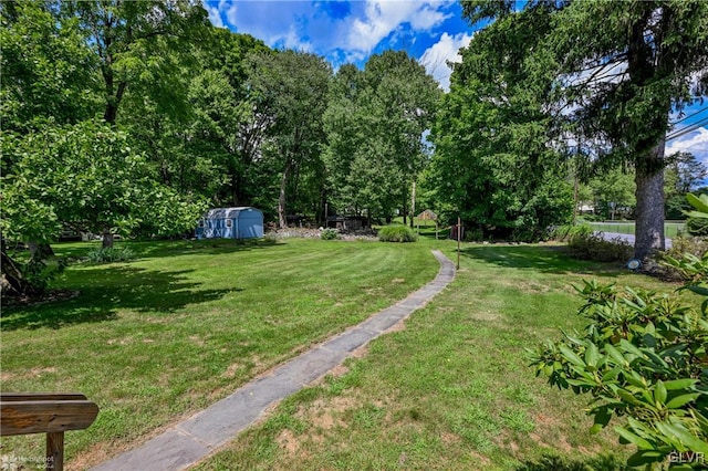 view of yard with a storage shed