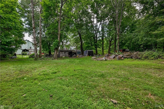 view of yard with a storage shed