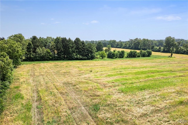 view of yard featuring a rural view