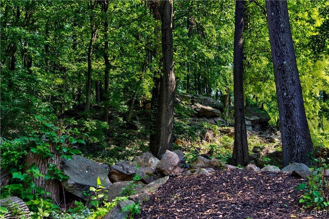 view of landscape