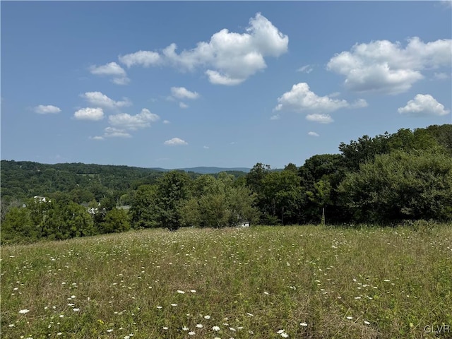 view of local wilderness