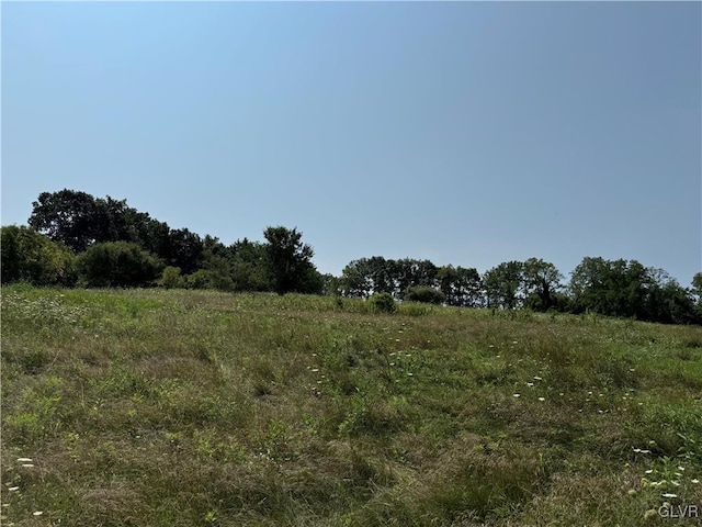 view of local wilderness featuring a rural view