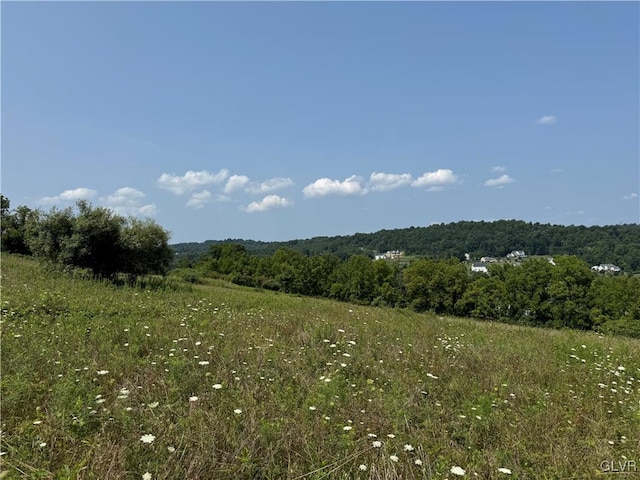 view of landscape