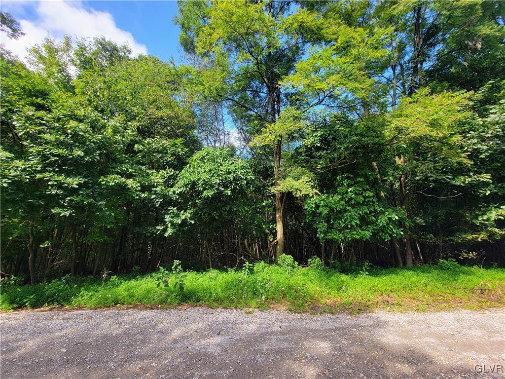Whitetail Crossing Rd, Tamaqua, PA 18252 - photo 1