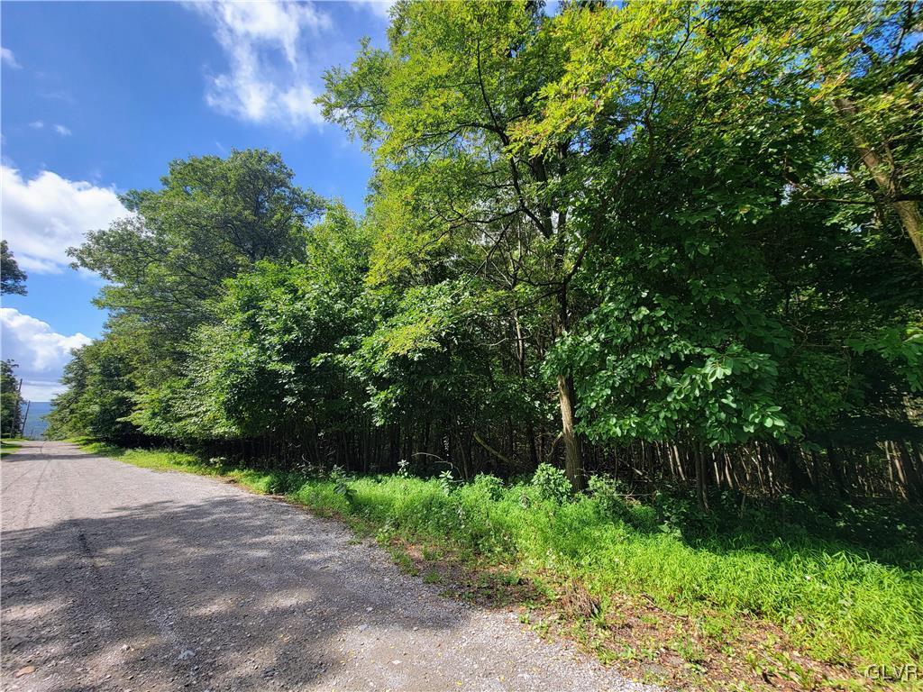 view of road