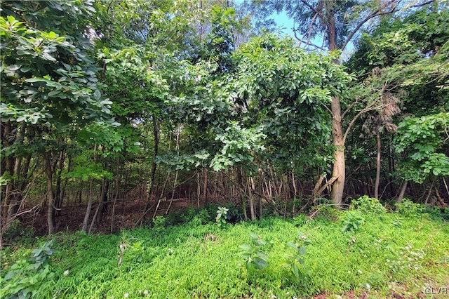 Whitetail Crossing Rd, Tamaqua, PA 18252 - photo 3