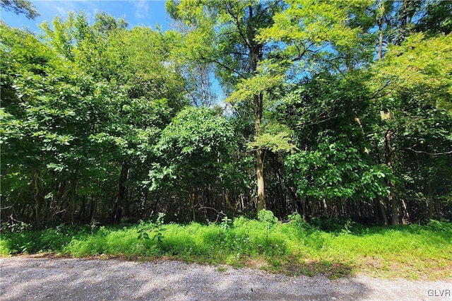 Whitetail Crossing Rd, Tamaqua, PA 18252 - photo 4