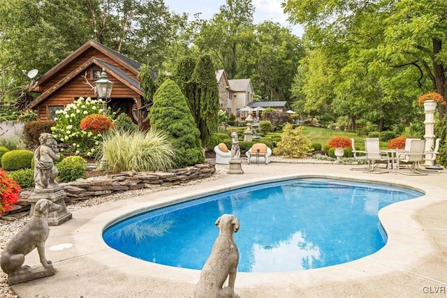 view of swimming pool featuring a patio area