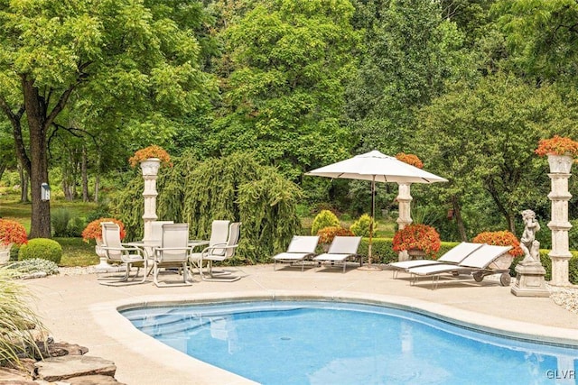 view of pool with a patio