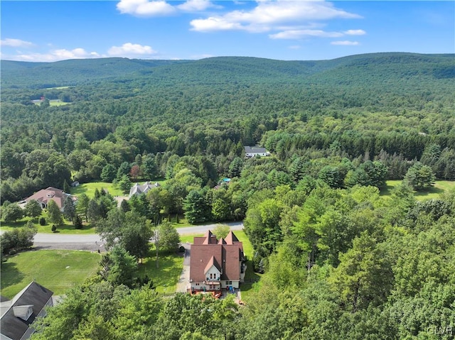 aerial view with a mountain view