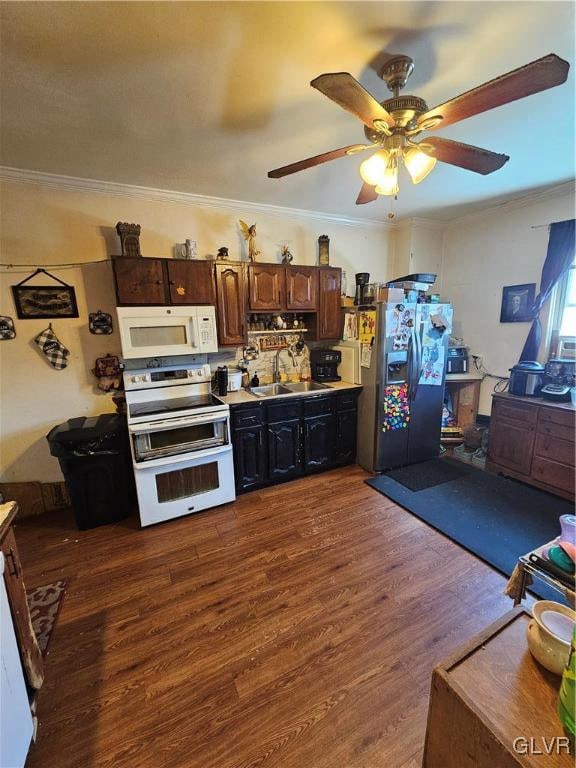 kitchen with crown molding, white appliances, sink, dark wood-type flooring, and ceiling fan