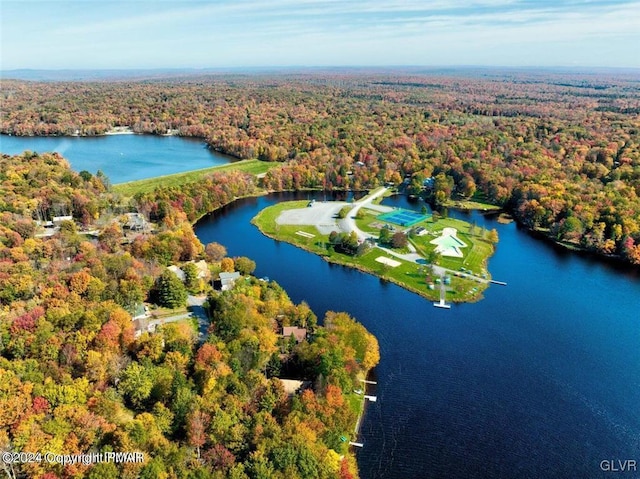 aerial view with a water view