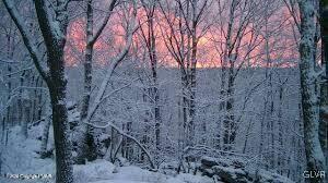 view of snowy landscape