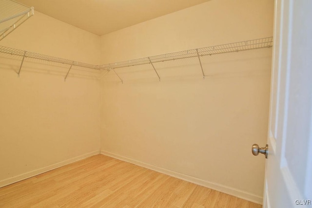 spacious closet featuring wood-type flooring