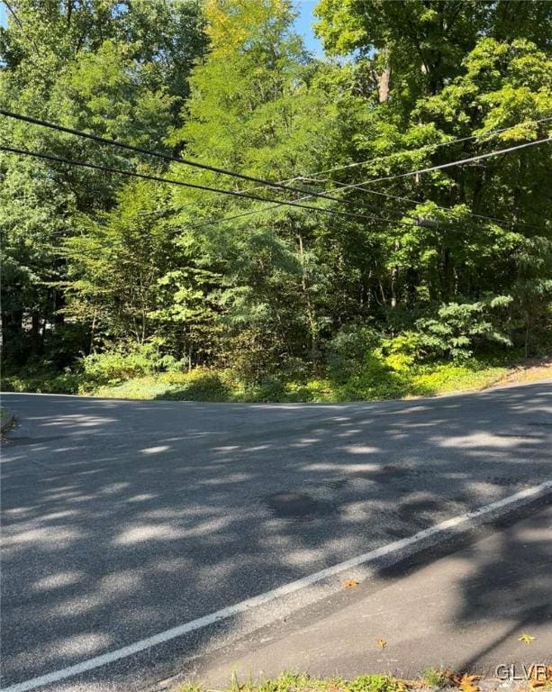 Forest Dr, Nazareth Borough, PA 18064 - view of asphalt street featuring a forest view