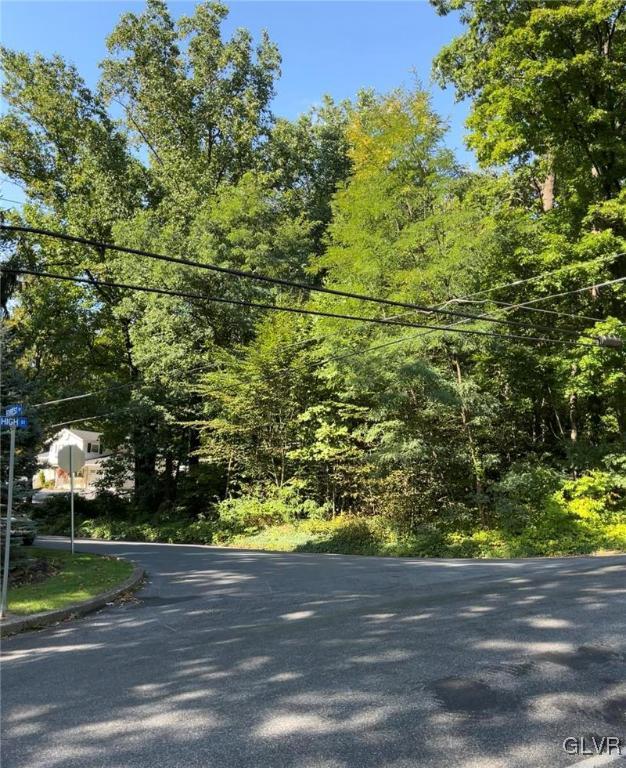 Forest Dr, Nazareth Borough, PA 18064 - view of asphalt street featuring a forest view and traffic signs