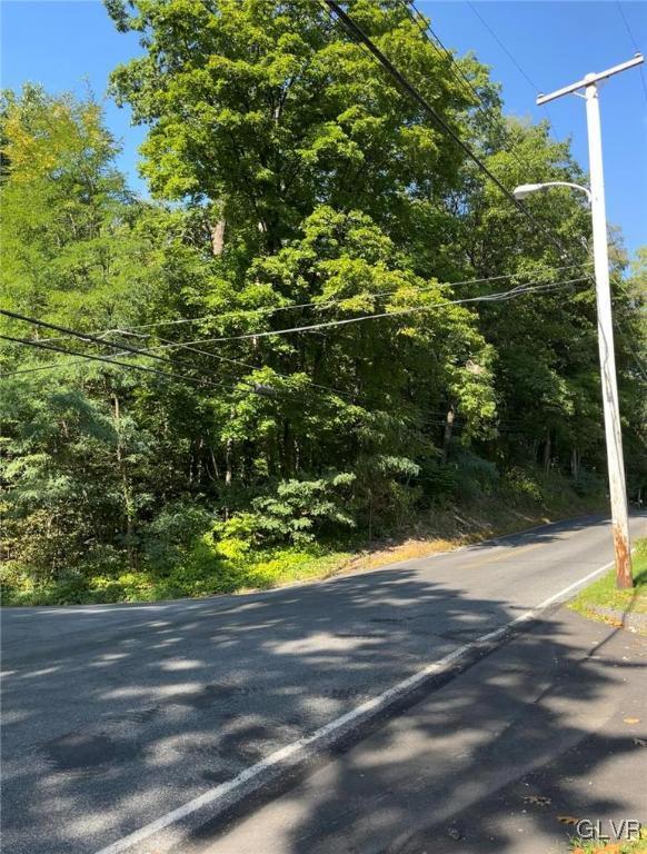 Forest Dr, Nazareth Borough, PA 18064 - view of asphalt street