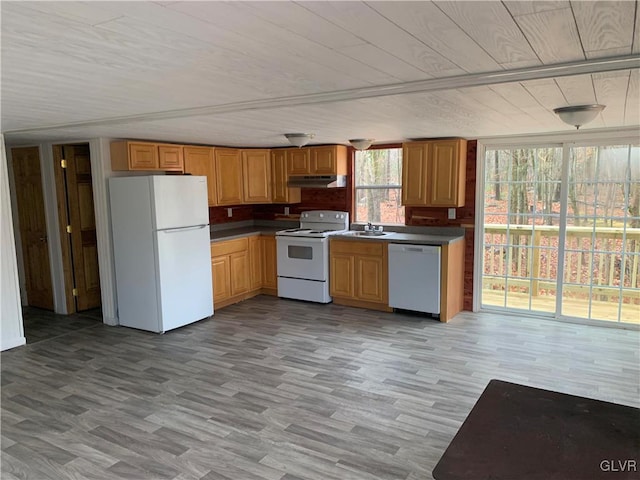 kitchen featuring light hardwood / wood-style flooring, sink, and white appliances