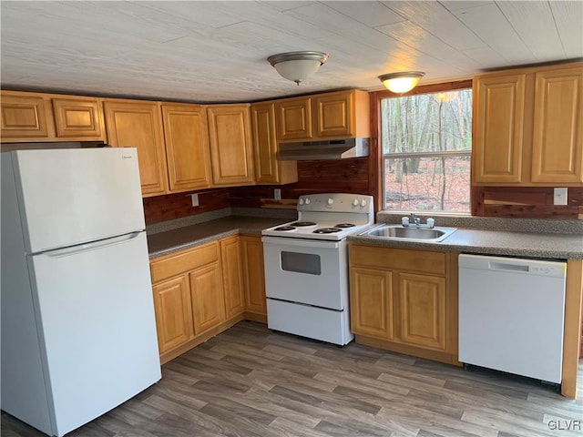 kitchen with sink, white appliances, and hardwood / wood-style flooring