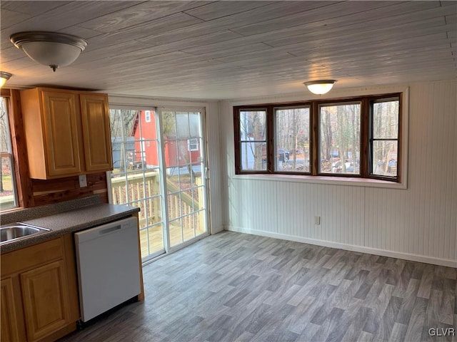 kitchen with white dishwasher, a healthy amount of sunlight, sink, and wood-type flooring