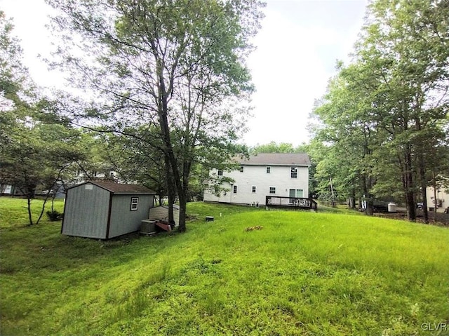 view of yard with a storage unit