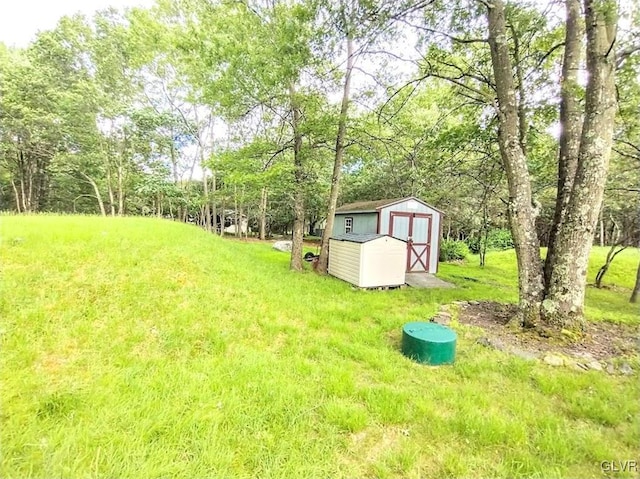 view of yard with a storage shed