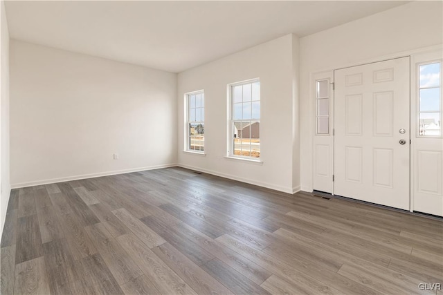 entryway featuring hardwood / wood-style flooring