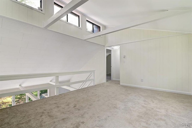 interior space featuring high vaulted ceiling, wood walls, and a wealth of natural light