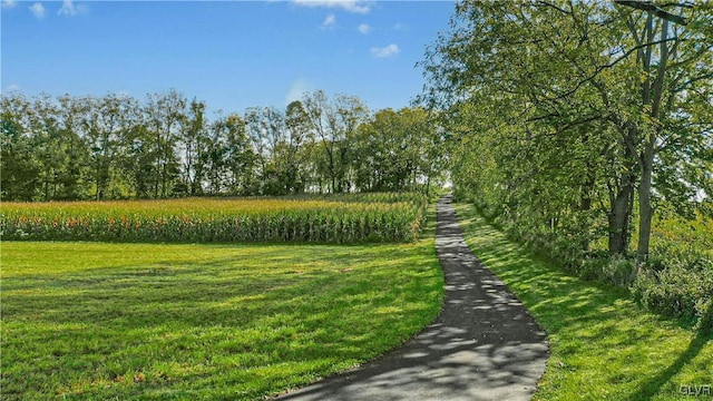 view of property's community featuring a yard