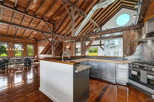 kitchen featuring a wealth of natural light, high end range, and dark hardwood / wood-style floors