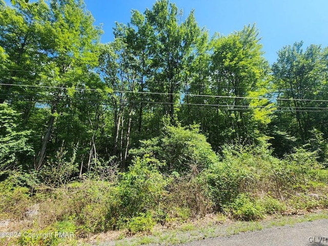 view of landscape