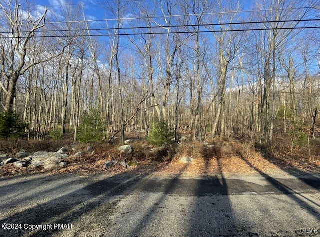 442 Cypress Dr, Penn Forest Township, PA 18229 - view of road