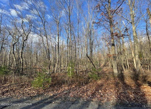 442 Cypress Dr, Penn Forest Township, PA 18229 - view of landscape