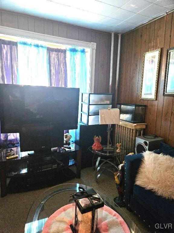 living room with wooden walls and carpet flooring