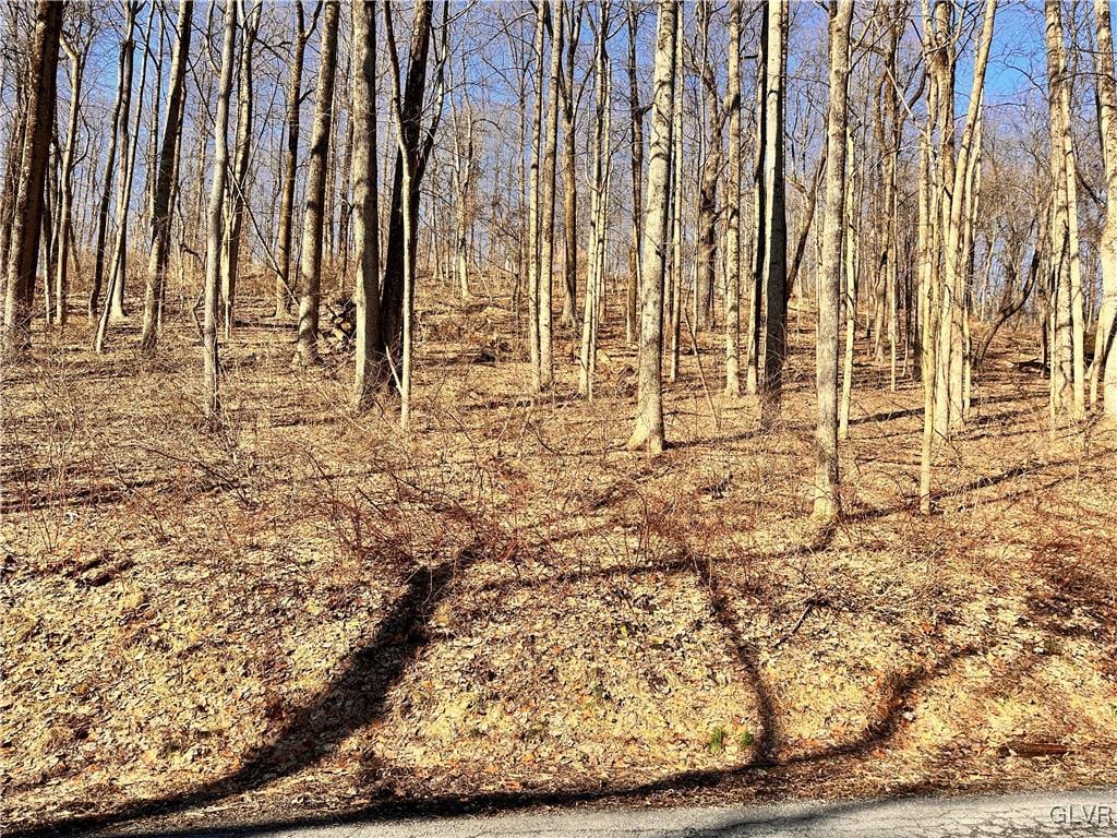 view of local wilderness