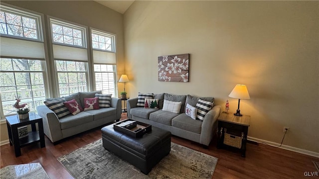 living room featuring a high ceiling and dark hardwood / wood-style floors