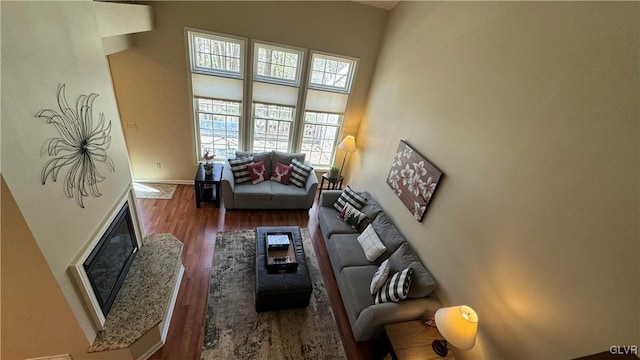 living room featuring wood-type flooring