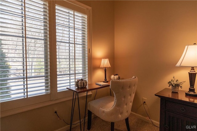 view of carpeted home office