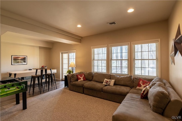 living room featuring hardwood / wood-style flooring and a healthy amount of sunlight