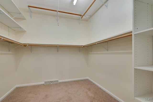 spacious closet featuring carpet floors