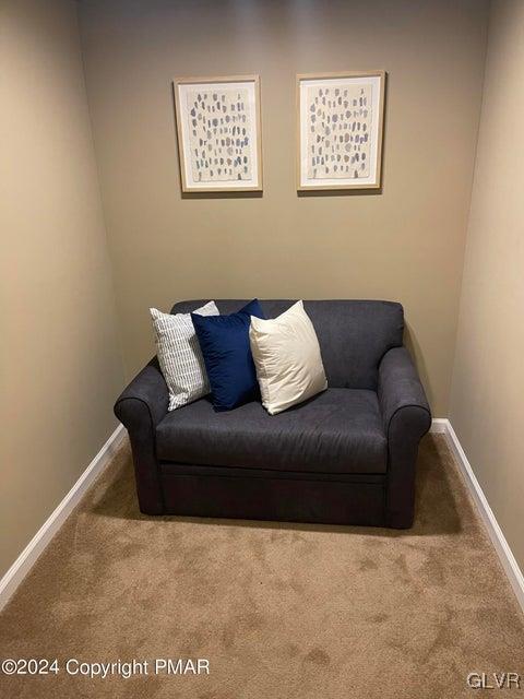 living area with carpet floors